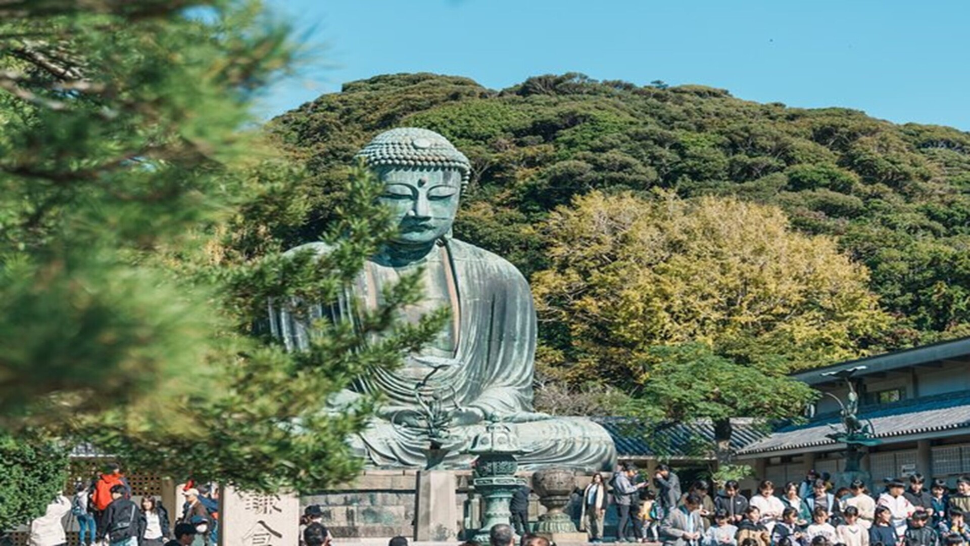 個人向けハイヤーサービス